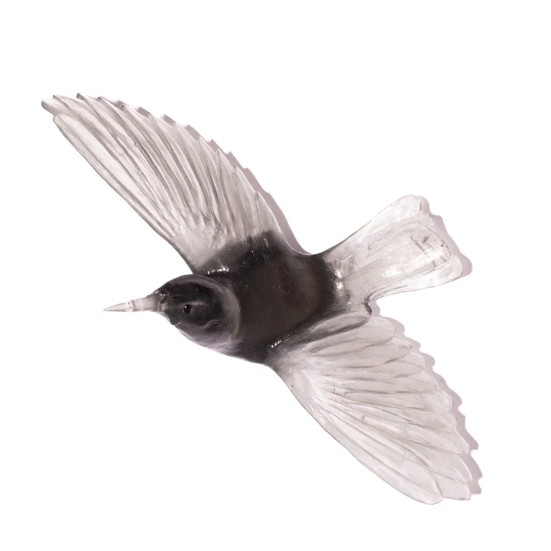 Cast Glass Bird Tīeke/Saddleback - Image 17