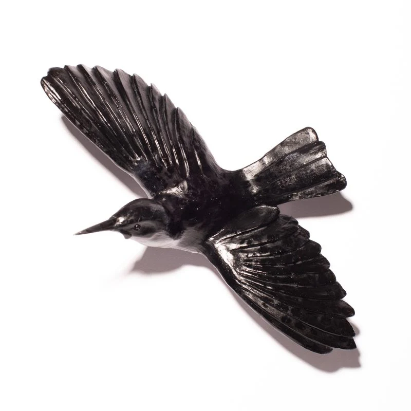 Cast Glass Bird Tīeke/Saddleback - Image 19