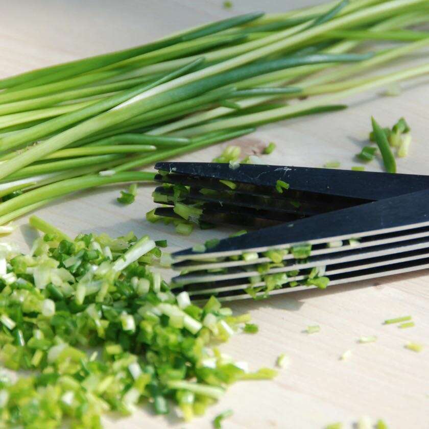 Herb Scissors 2x12x28cm - Image 3
