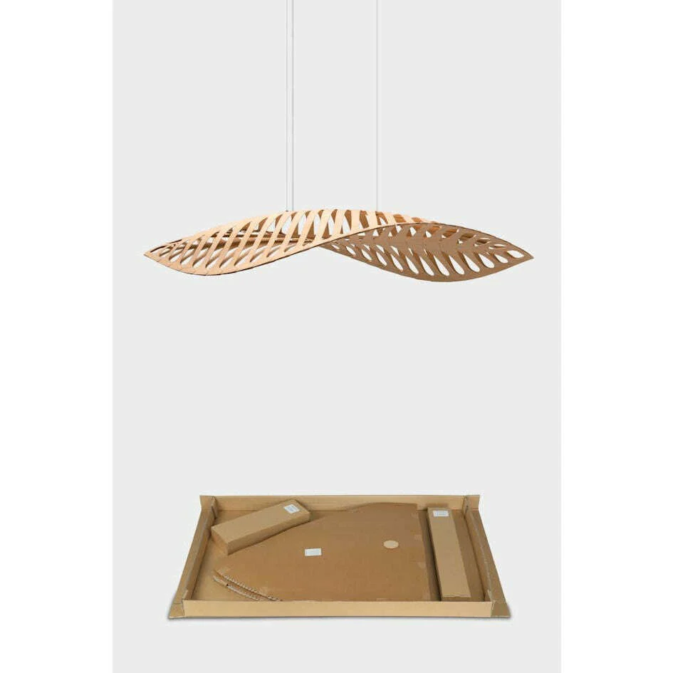 Navicula Lamp - Image 8