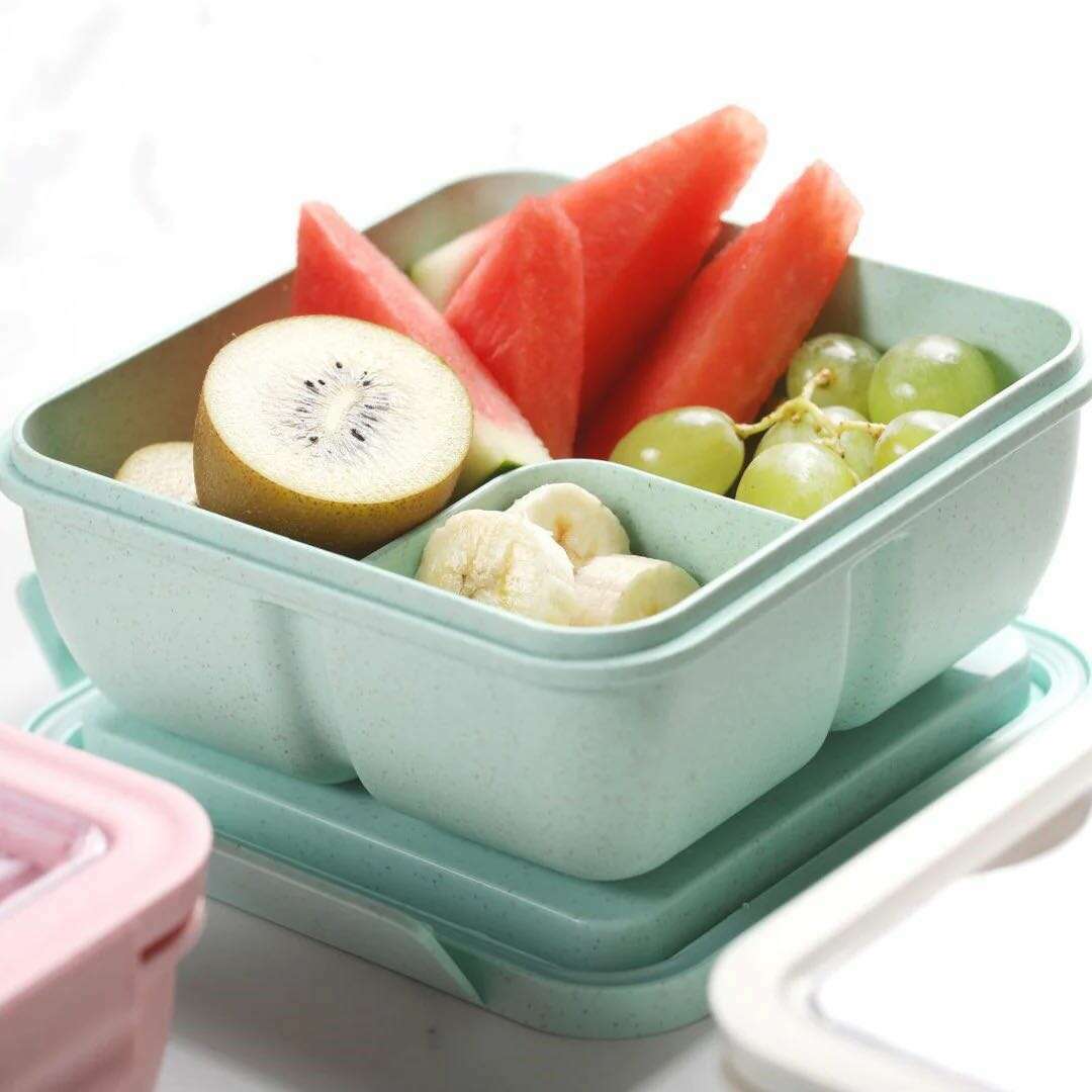 Poppy Large Bento Box - Image 4